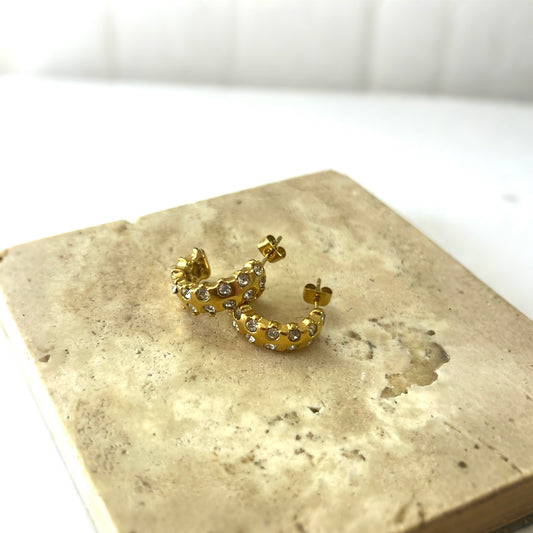 Golden Vine Studded Hoops