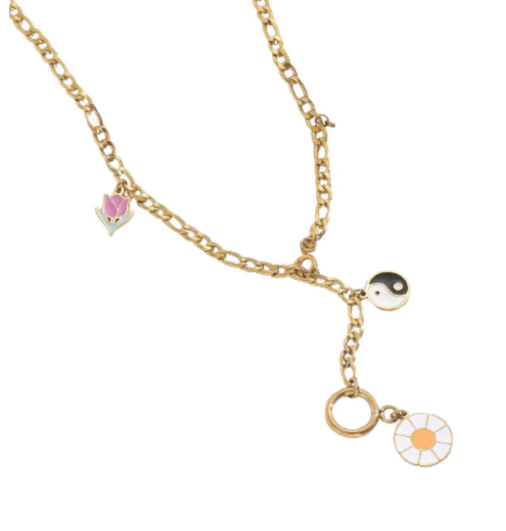 Charm Long Necklace