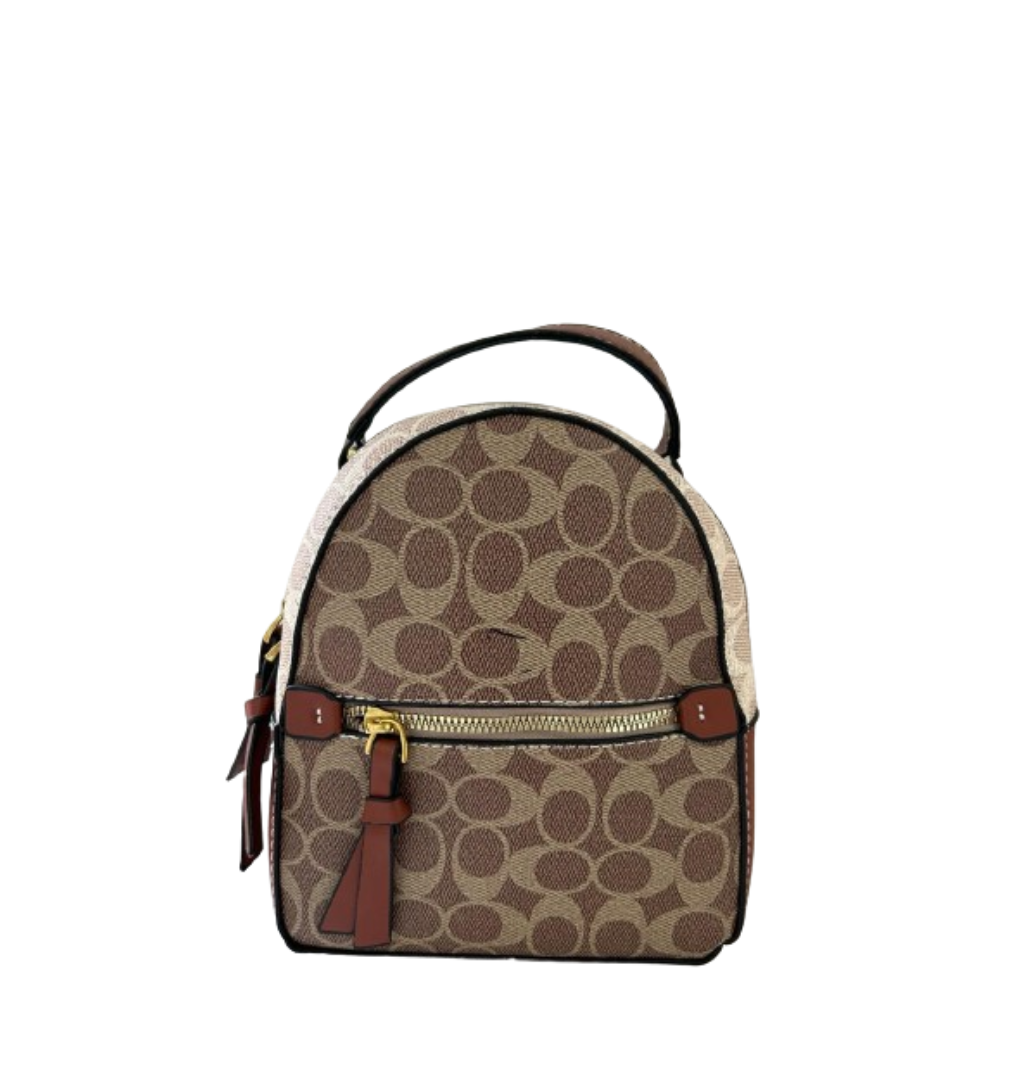 Brown Backpack