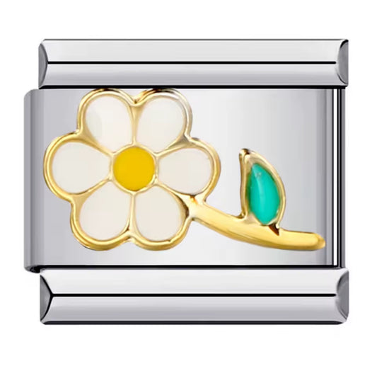 Daisy
