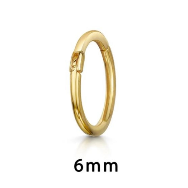 Single 6mm Helix Hoop
