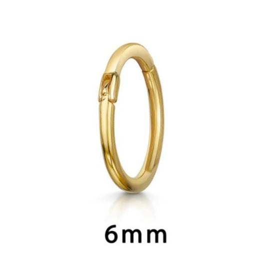 Single 6mm Helix Hoop
